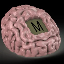 playmonster Brain Fart™< Games