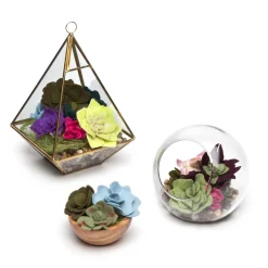 ann-williams Craft Crush® Felt Succulents Kit< Crafts And Activities