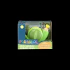 playmonster Playskool Little Wonders Shelby Snail< Baby Toys